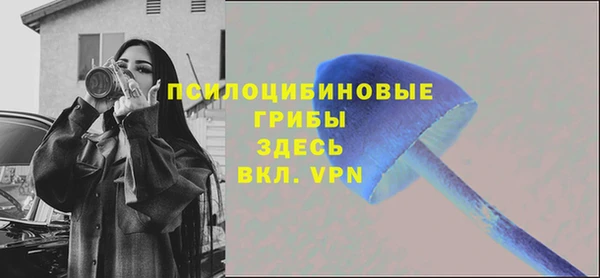ALPHA PVP Богородицк