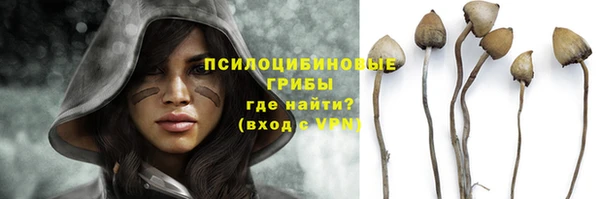 кокаин колумбия Богданович