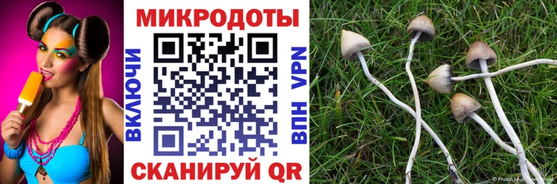 Галлюциногенные грибы GOLDEN TEACHER  Северская 