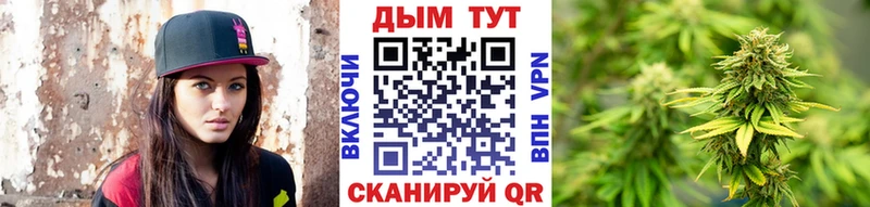 МАРИХУАНА планчик  Северская 
